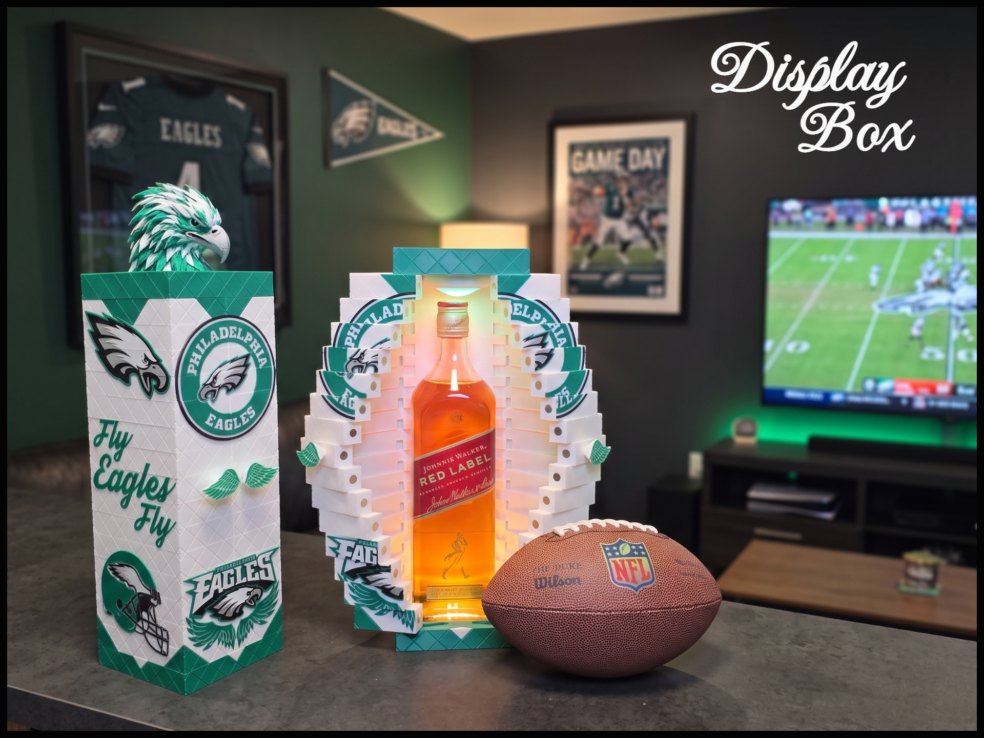 Philadelphia Eagles Folding Door Display Box - 1