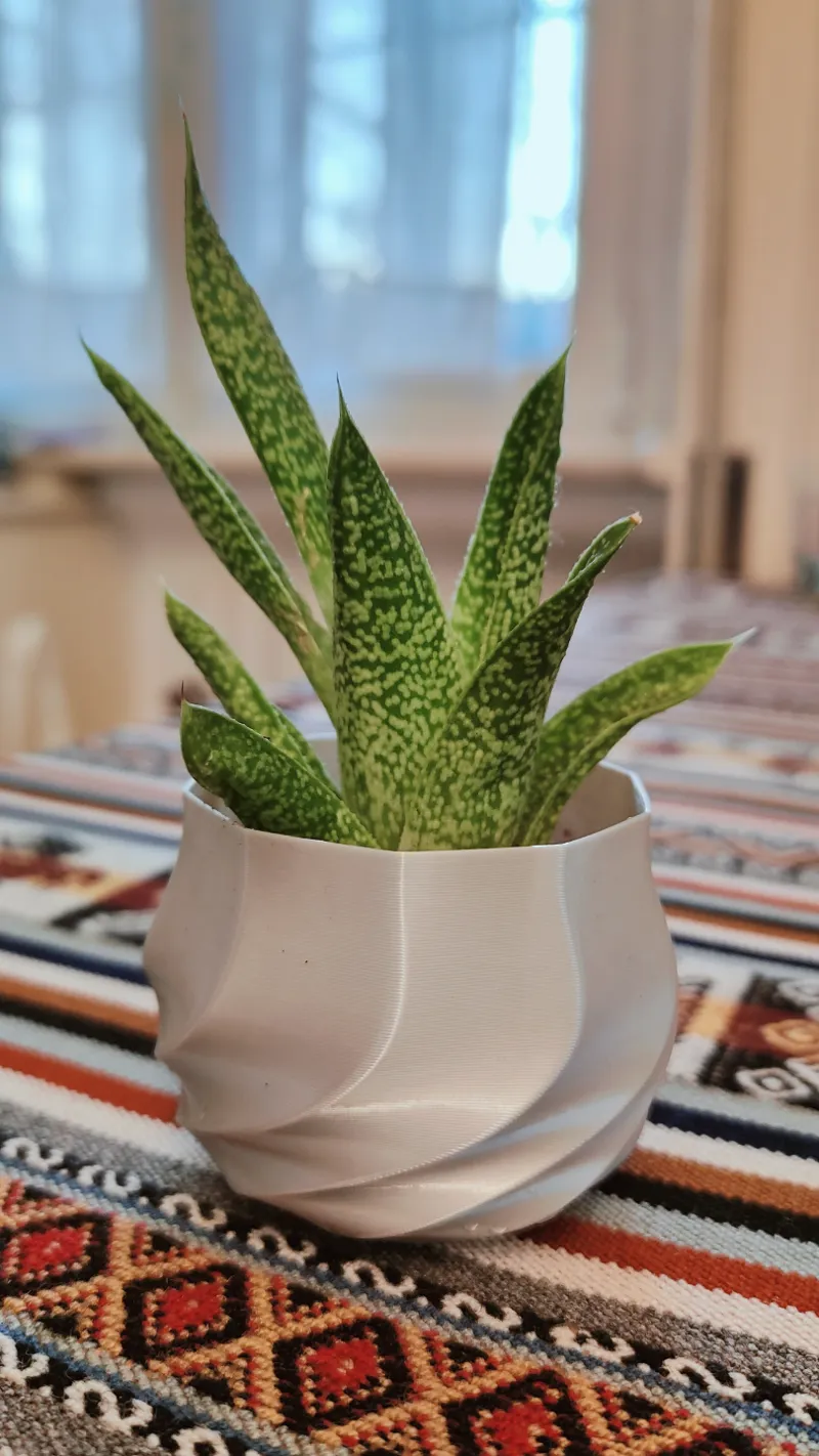 Spiral Plant Pot