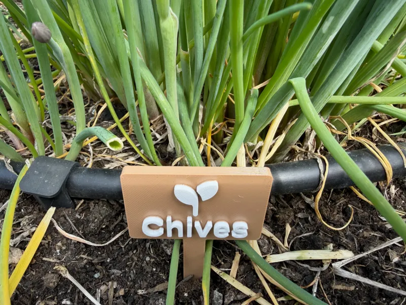 Garden sign for vegetables (Polish and English)