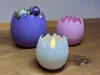 Broken Egg with Fuzzy Skin Look