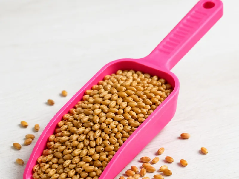 Universal Feed & Pellet Scoop