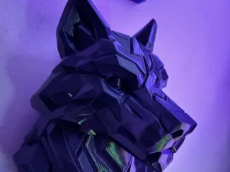 Zephyron – The Stormfang Wolf