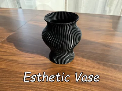 Esthetic Vase