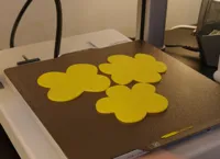 0.2mm layer, 2 walls, 15% infill