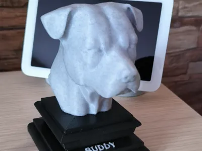 Buddy's Bust – Refined Edition