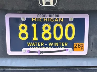 Koseki Bijou - "81800" License Plate Frame