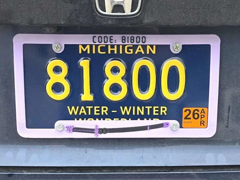Koseki Bijou - "81800" License Plate Frame