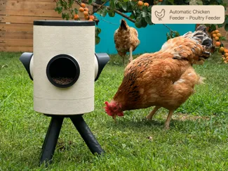 Automatic Chicken Feeder - Poultry Feeder