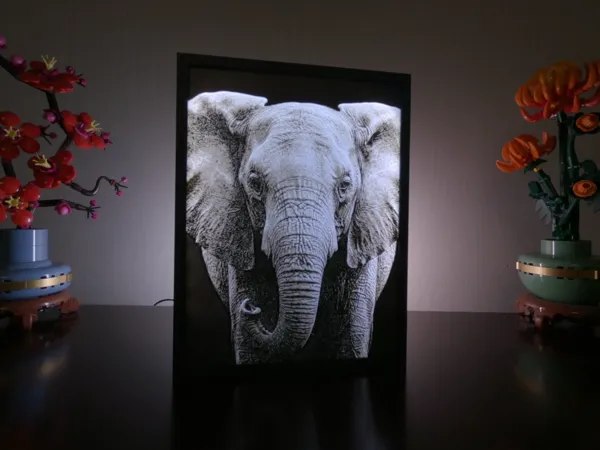 https://makerworld.bblmw.com/makerworld/model/USda562b7efd65cd/design/7df28ed32d6ab924.jpg