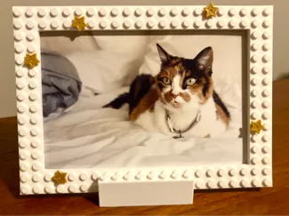 Brick 4x6 Picture Frame