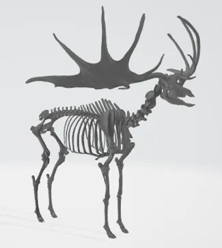 ELK Skeleton