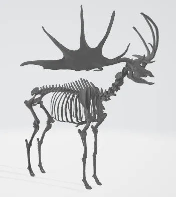 ELK Skeleton