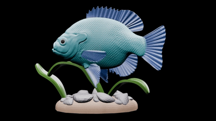 Bluegill fish - Fish Collection 03