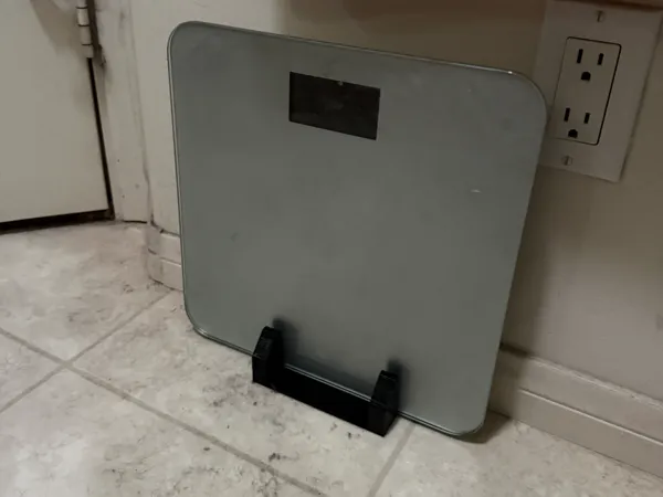 https://makerworld.bblmw.com/makerworld/model/USda626ec93074e5/design/a875c088e42e2fe0.jpg
