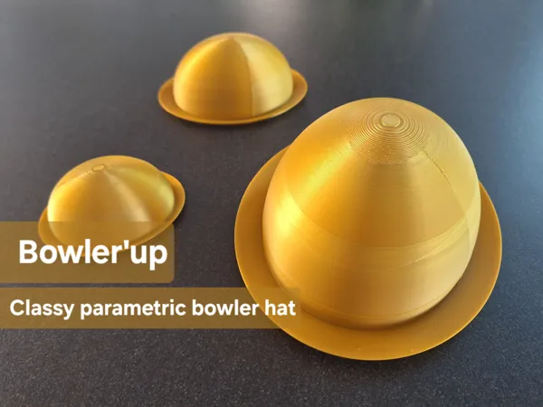 https://makerworld.bblmw.com/makerworld/model/USda62d11ef5de36/design/2025-07-02_d99ee10064f758.jpeg