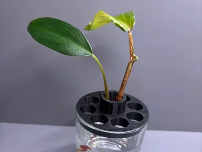 Root Holder for Mini Jars