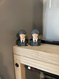 0.2mm layer, 2 walls, 40% infill