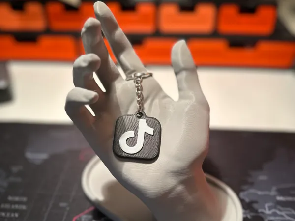 https://makerworld.bblmw.com/makerworld/model/USda6bc66bfe1404/design/2025-04-15_6a37a65eb19e5.jpg
