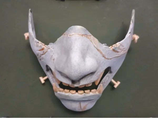 https://makerworld.bblmw.com/makerworld/model/USda765be2e5c9dd/design/2025-11-08_a00f422fba59a.jpg