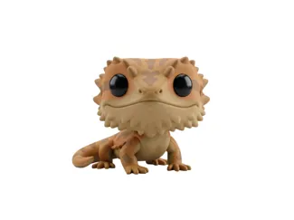 Bearded Dragon