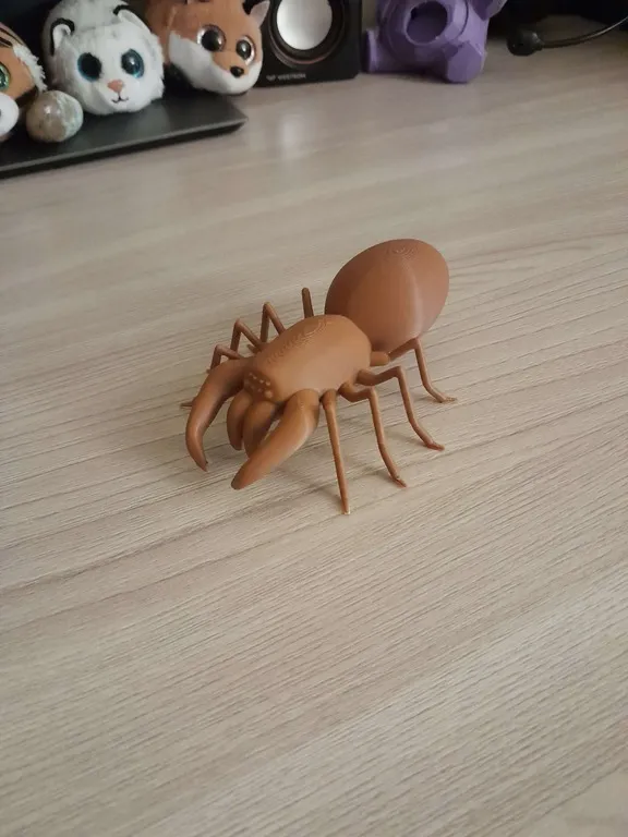 Spider