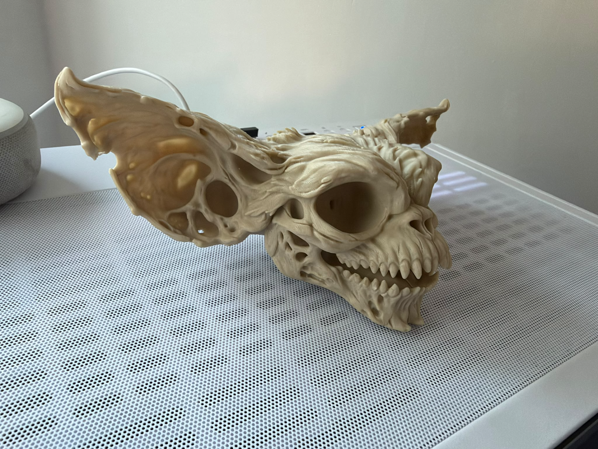 gremlin skull (gismo) - 1