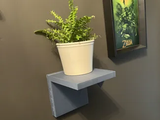 plant holder