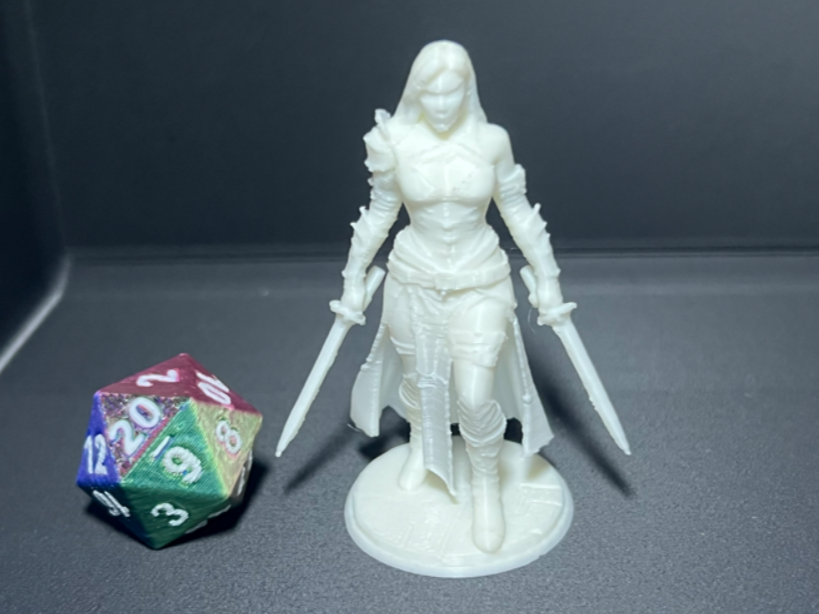 D&D-Mensch-Assassinin