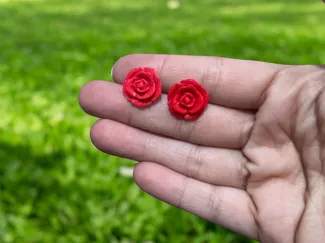 Pendientes rosa