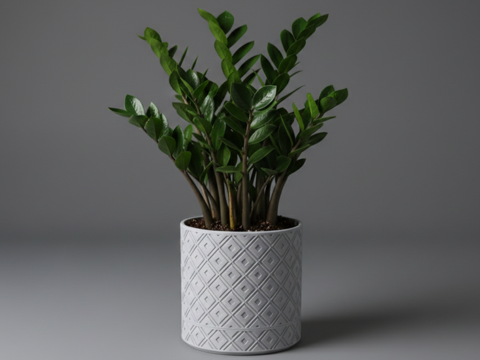 Modern Diamond-Weave Planter | Hidden Drip Tray