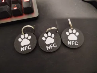 NFC dog