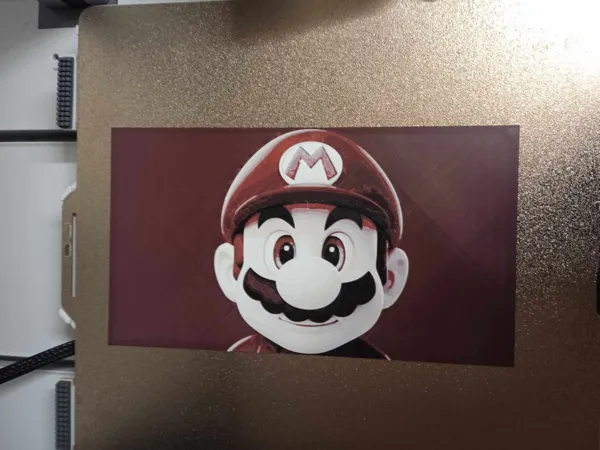 https://makerworld.bblmw.com/makerworld/model/USda843caa5d9728/design/2025-04-22_06d9cdcc39e6c.jpg