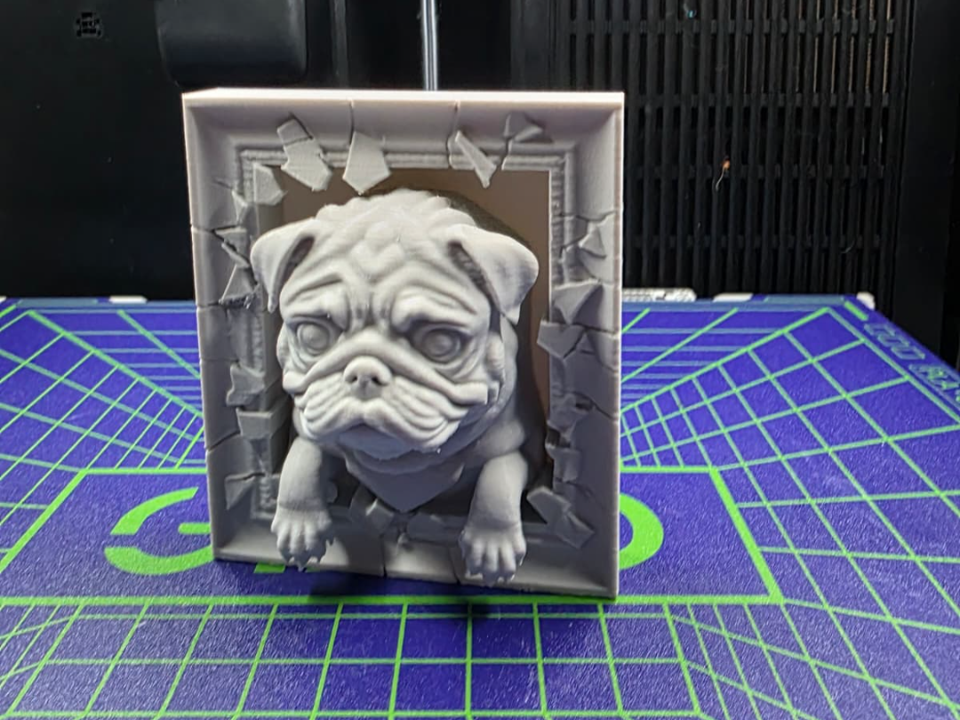Mops im Rahmen Relief