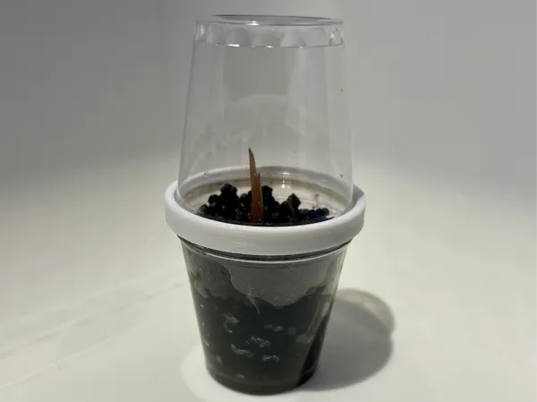 https://makerworld.bblmw.com/makerworld/model/USda8dba04429038/design/2024-12-10_ebcd4d834b0688.jpeg