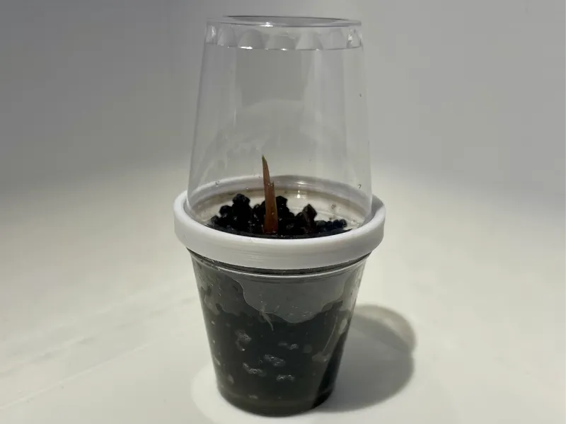 Mini Serre Pour Graine De plante