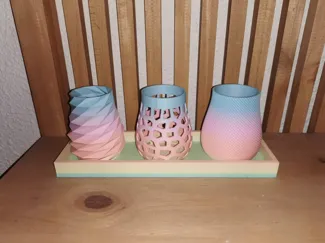 pots de fleurs avec plateau
