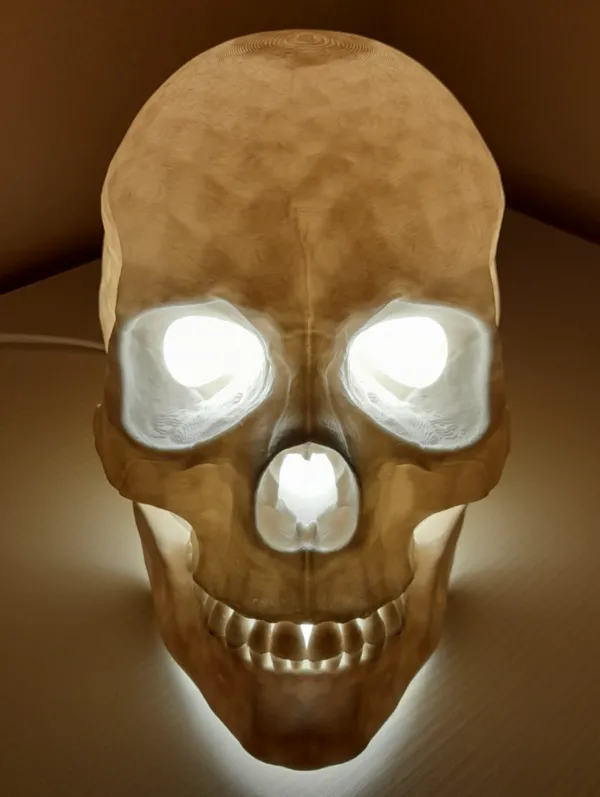 https://makerworld.bblmw.com/makerworld/model/USda9624dce37723/design/2024-12-22_4ccaa0a06b552.jpg