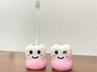 可愛い歯の形の歯ブラシスタンド
