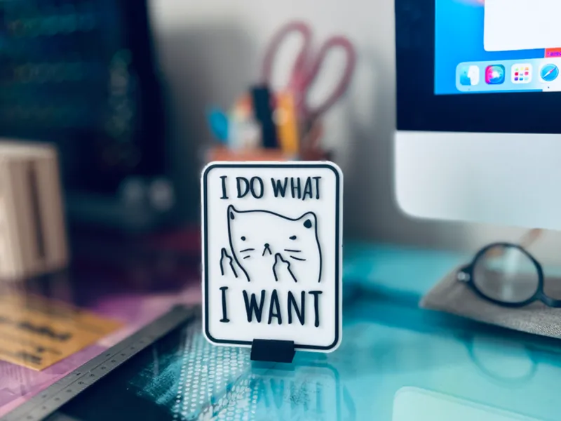 I Do What I Want Cat