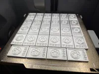 Full Plate for 256x256 plate