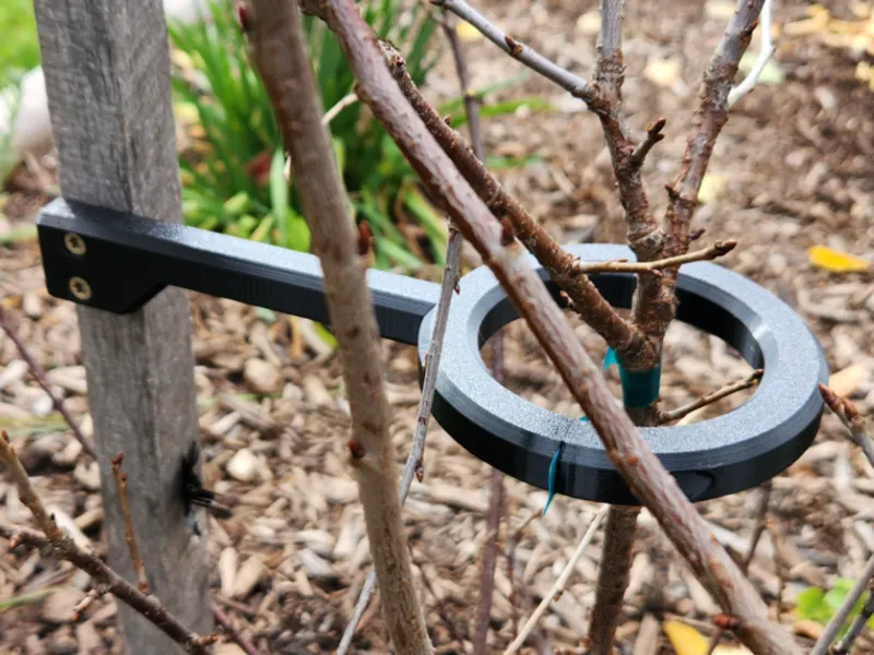 New Plant Tree Support, Brace or Clip