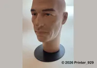 0.24mm layer, 4 walls, 15% infill - 12.9mm peg