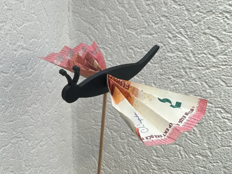 Schmetterling Geldgeschenk | Hochezit |Geburtstag