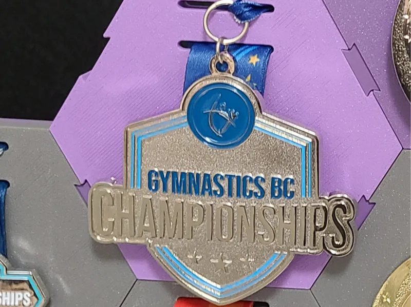 Modular Medal Display