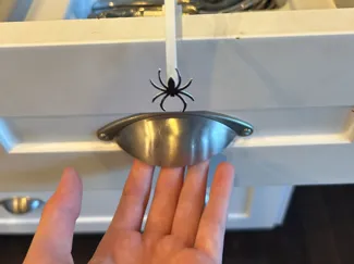 Fake Spider Drawer PRANK!