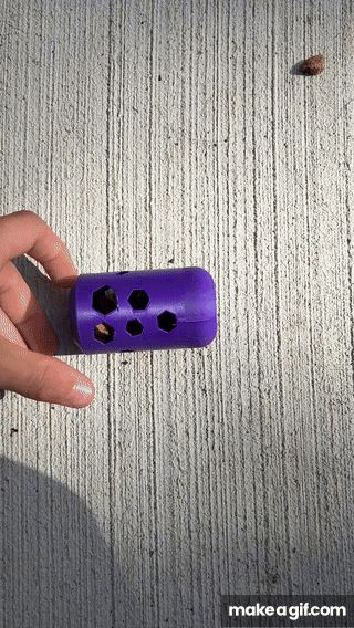 Pet Rolling and Wobbling Treat Dispenser