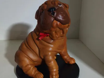 SHAR PEI CACHORRO 