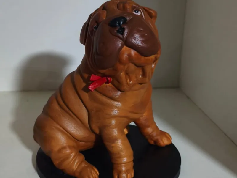 SHAR PEI CACHORRO 