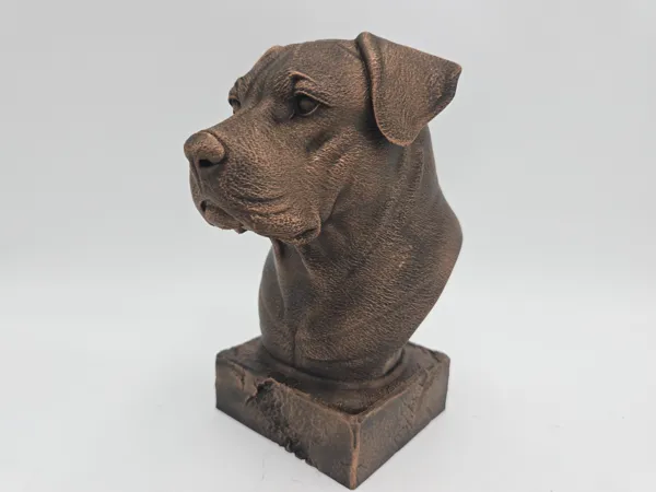 https://makerworld.bblmw.com/makerworld/model/USdab6aa24ae6caf/design/2025-05-23_240d9bff0c9dc.jpg