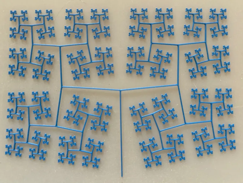 Branching pattern